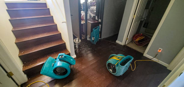 Best Flooded house restoration  in Bangor, PA