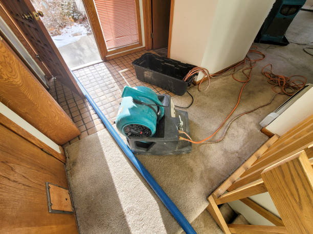 Best Water damage restoration services  in Bangor, PA
