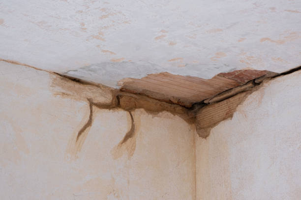 Best Water damage restoration near me  in Bangor, PA