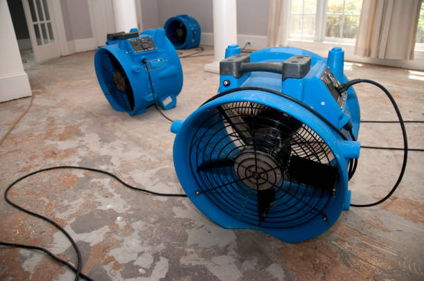 Best Water damage cleanup near me  in Bangor, PA