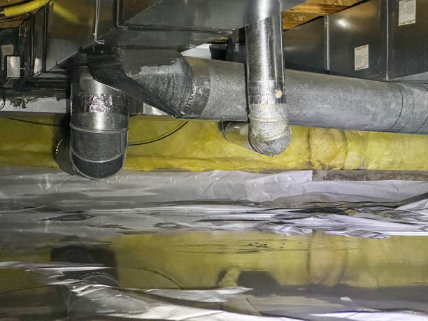 Best Mold removal after water damage  in Bangor, PA