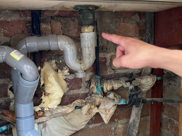Best Basement water damage restoration  in Bangor, PA