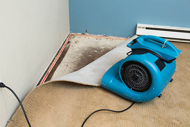 Best Water damage contractors near me  in Bangor, PA